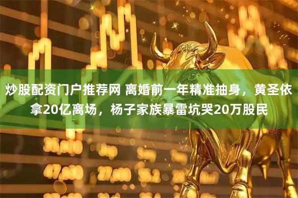 炒股配资门户推荐网 离婚前一年精准抽身，黄圣依拿20亿离场，杨子家族暴雷坑哭20万股民